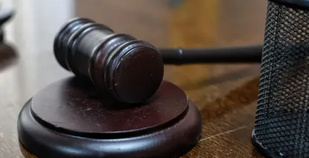 Харківську блогерку взяли під варту у справі про авто для ЗСУ