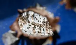 россия признала свое поражение в Харьковской области – впервые с начала войны 
