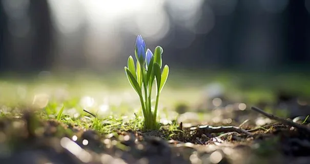 Наприкінці березня до України прийде похолодання, — синоптикиня Діденко