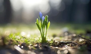 Гетманцев «передав привіт» Монобанку