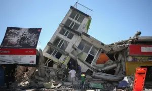 Відео: у Римі в новорічну ніч пройшов «дощ» із мертвих птахів