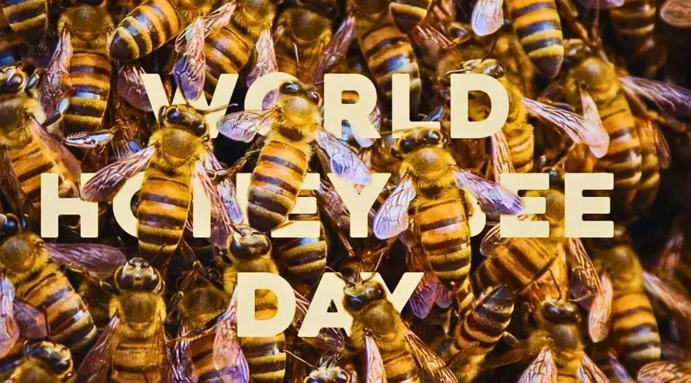 Święto 15 sierpnia 2026 r. — Światowy Dzień Pszczół Miodnych