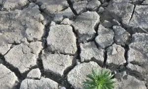 Міністр оборони Польщі пояснив необхідність збільшення витрат на армію