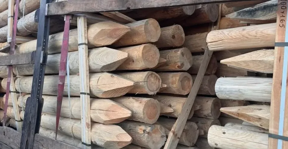 Illegal timber exports to Ireland were stopped at Yagodyn