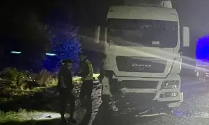 Результаты выборов: ЦИК подсчитала 100% протоколов