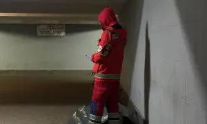 Видео: полиция задержала мужчину, который обстрелял семью под Киевом