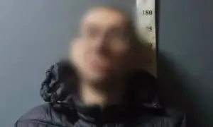 Большинство родителей школьников не одобряет дистанционное обучение 