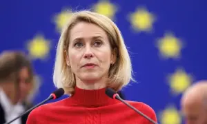 У Франції затримали ще кількох підозрюваних у побитті українського підлітка