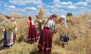 СБУ викрила зрадників, які намагалися зареєструвати Starlink для окупантів