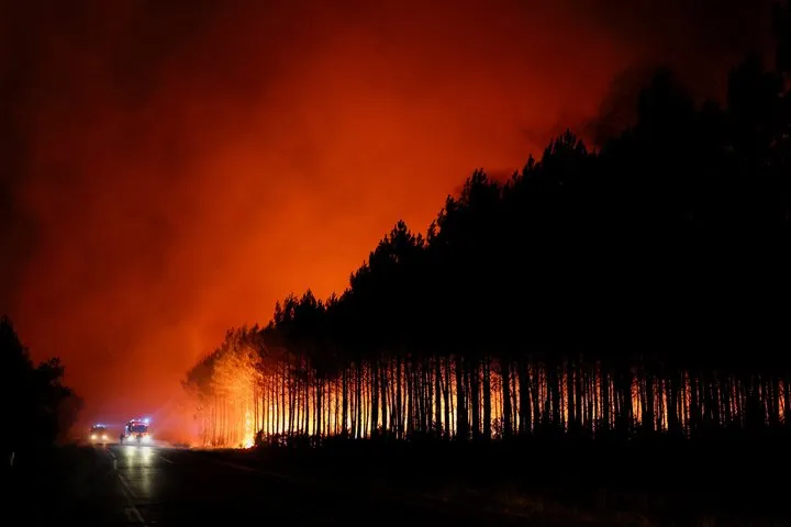 Во Франции задержали 420 человек по подозрению в поджоге лесов — BBC
