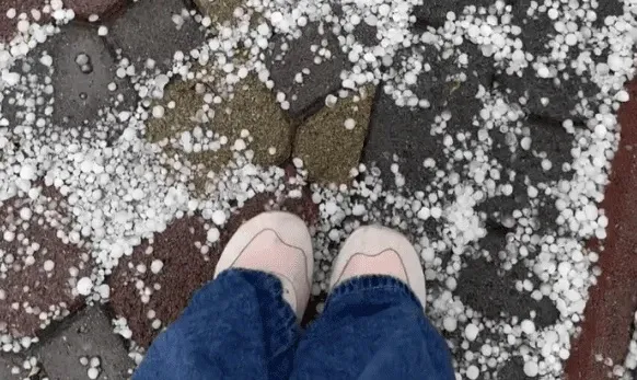 У Києві 24 квітня заморозки, а сьогодні пішов град – відео