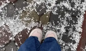 У Печерському районі Києва з’явиться проїзд імені Андрія Парубія