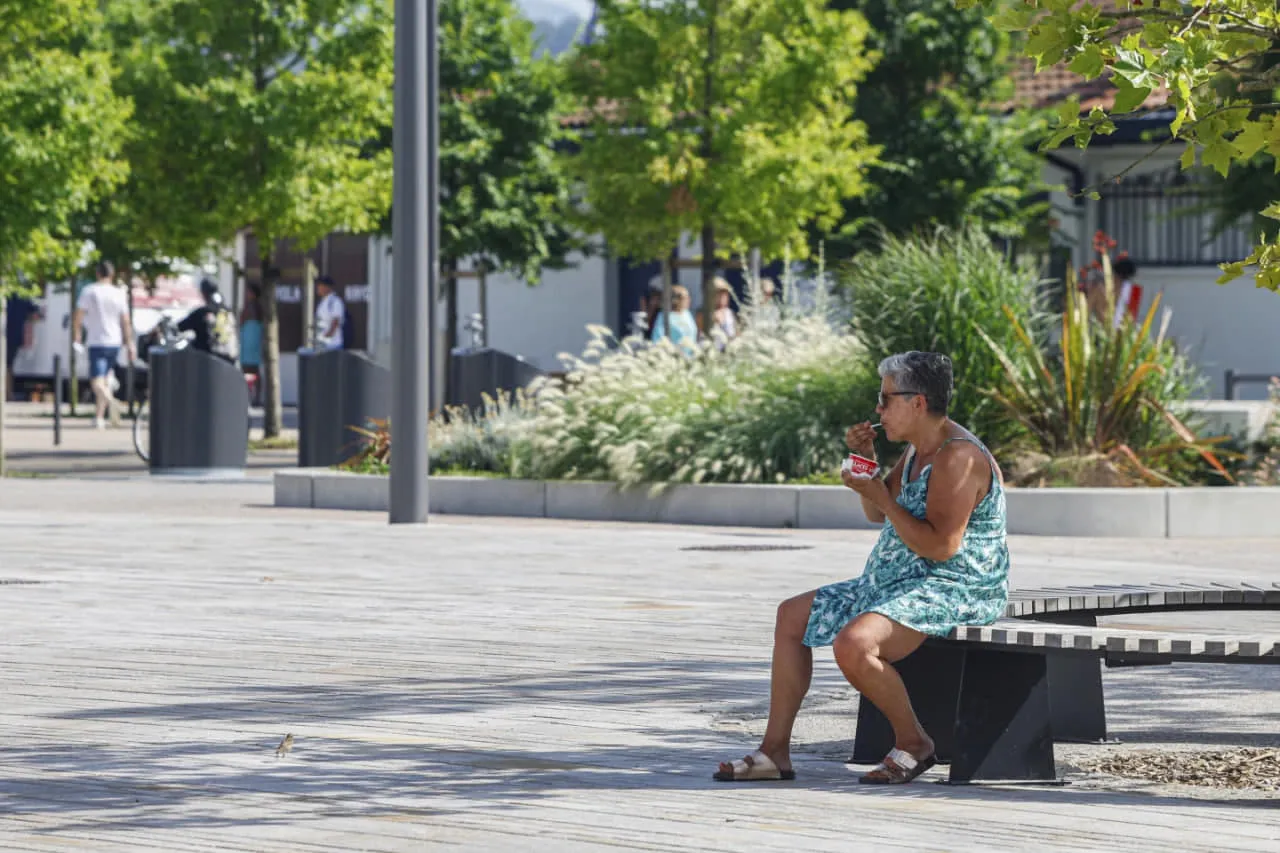 Deaths in Germany Have Surged Due to the Heat Wave