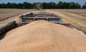 Прем'єр Румунії задоволений реакцією Кремля на обговорення про Patriot для України