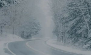 СБУ викрила у Львові блогера, який знімав будівлю спецслужби і закликав її знищити 