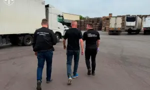 В Николаевской области раскрыли схему по подделке иностранных документов с целью уклонения от мобилизации
