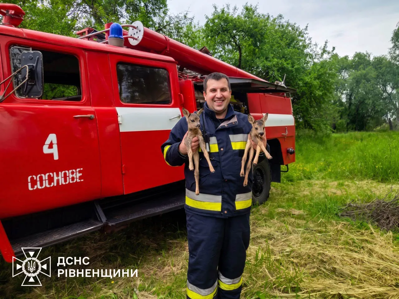 На Рівненщині рятувальники винесли з лісової пожежі двох оленят