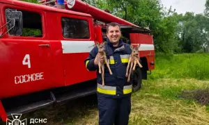 В Україну 4 червня повертається потепління, буде до +27