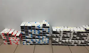 Відео: на Луганщині спалахнула масштабна пожежа, триває евакуація