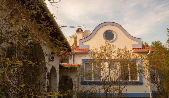 Маєток Повалій продадуть на користь ЗСУ – відео