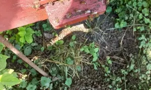 Україна отримає перший транш кредиту ЄС не пізніше другого кварталу 2026 року, – Єврокомісія