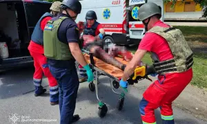 Армія РФ атакувала підприємство на Полтавщині