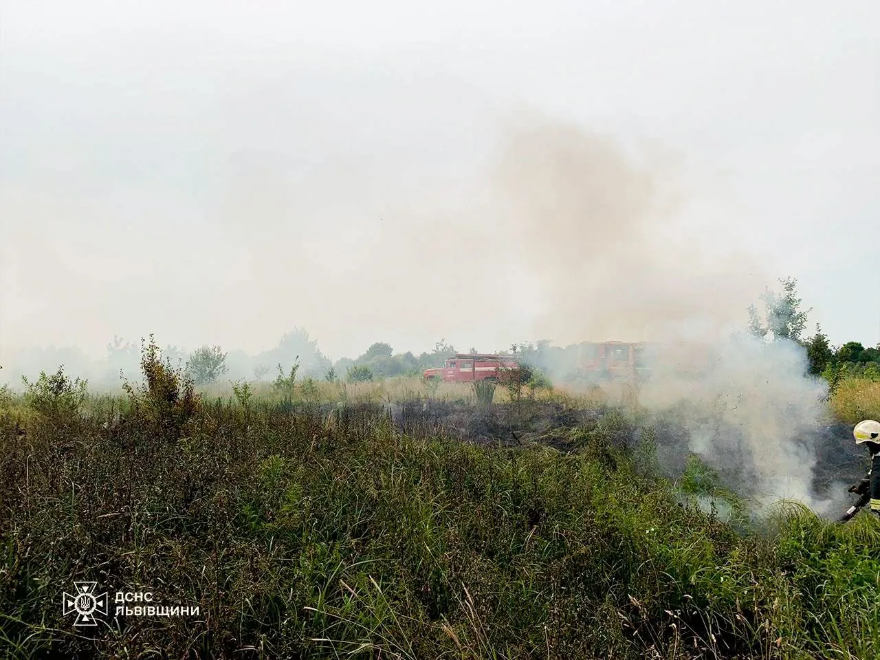 A former landfill and dozens of hectares of ecosystems are on fire in the Lviv region