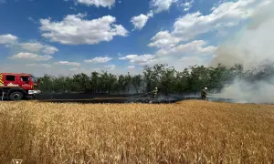 Центрвиборчком оголосив офіційні результати виборів