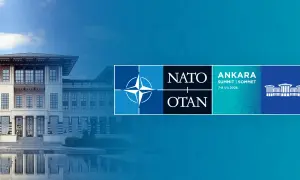 Ученые обнаружили необычный ископаемый вид жирафов — фото