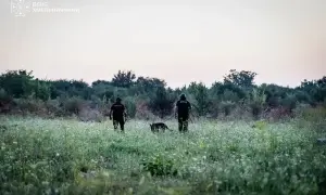 Рашисты изымают и уничтожают украинскую литературу, - ГУР МО