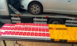 Фото: в Чернобыле из Зоны отчуждения попытались вывезти более 60 кг зараженных грибов