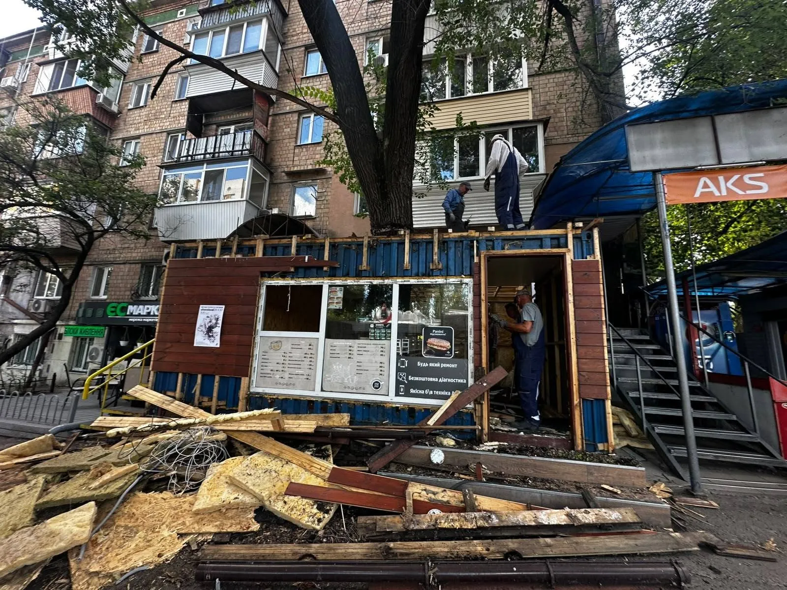 У Києві звільнили дерево, заживо замуроване у МАФі – фото