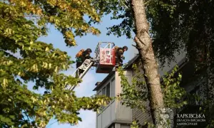 На Херсонщині через обстріли РФ загинула людина, ще 12 поранені