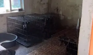 У Києві попрощалися з волонтеркою Віталіною Яровенко, яка загинула під час атаки РФ