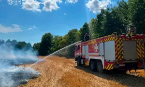 Стало відомо, коли українська стане обов'язковою мовою ЗНО