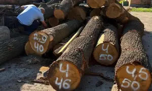 Вартість будівництва Подільського мосту за 5 років зросла удвічі