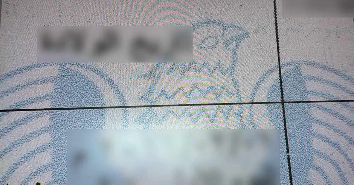 775261053_1374994260753440_4062803298513828916_n.webp