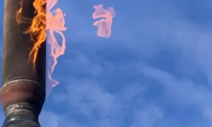 Відео: в Одесі небезпечно зацвіло море - названо причину