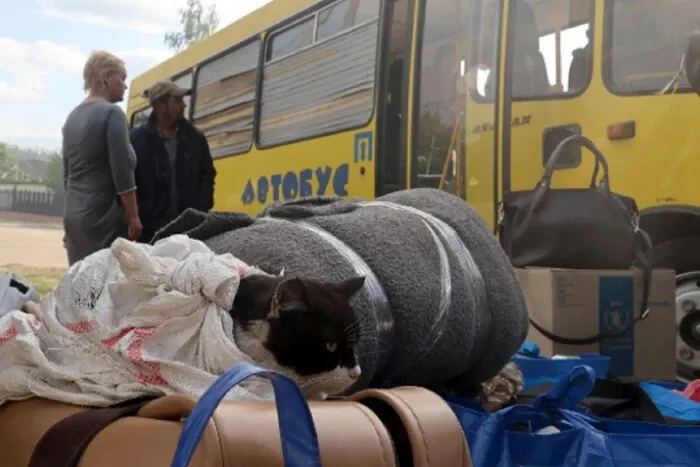 На Херсонщині розширили евакуацію через обстріли