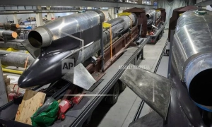 У Нідерландах протестна партія фермерів на виборах до Сенату здобула більше за політсилу прем’єра