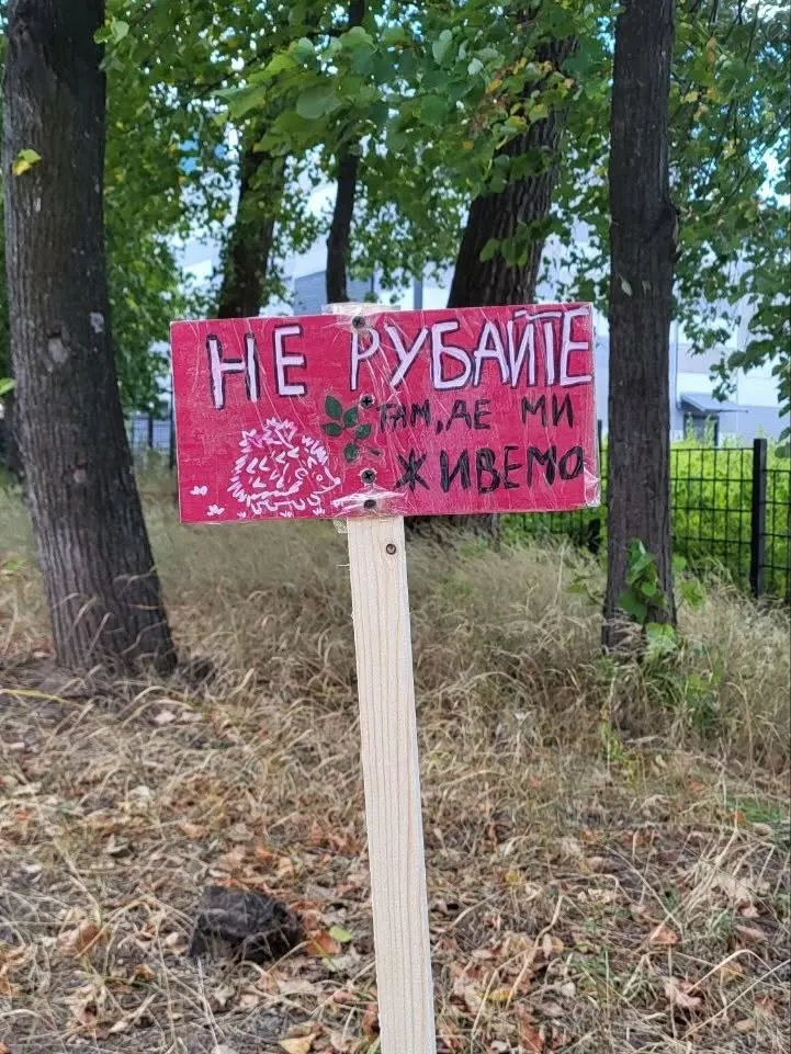 «Киевтеплоэнерго» отрицает вырубку деревьев на Теремках