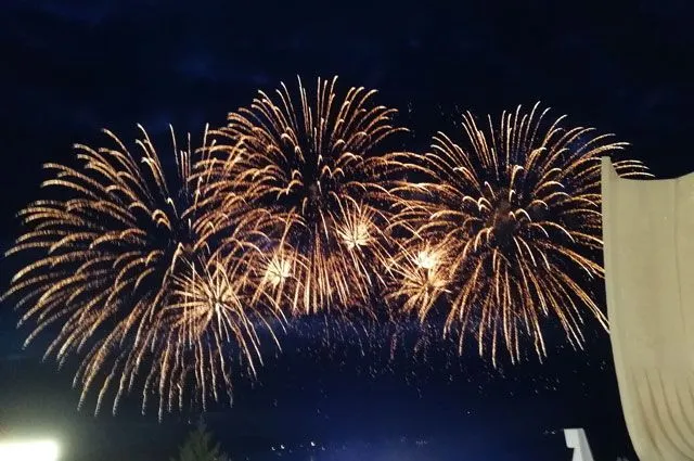 У Фінляндії за тиждень зібрали підписи для законопроєкту про заборону феєрверків