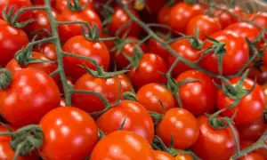 Літак з українськими туристами ледь не розбився у Харкові