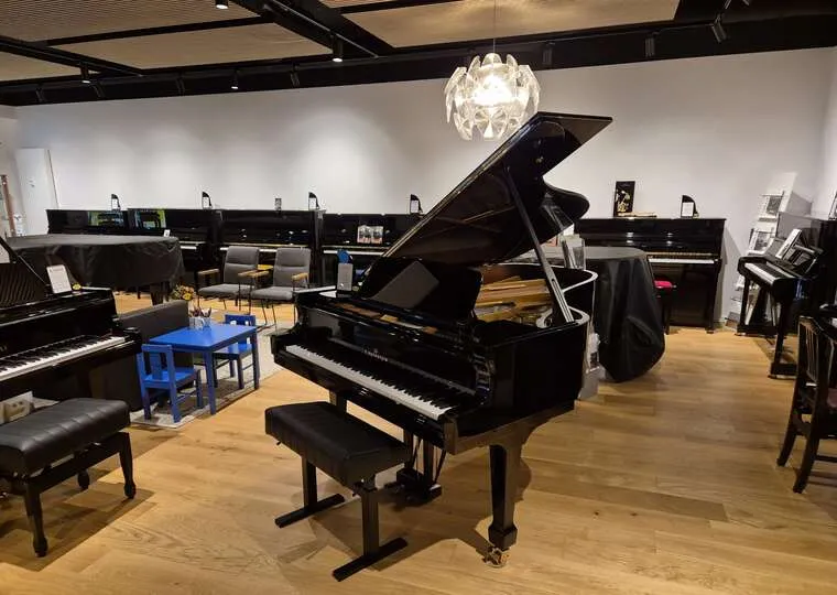 Музична школа Ужгорода купила найдорожчий рояль у «Прозорро»