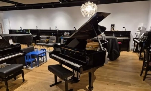 Арахамія повідомив, що ще 17 нардепів хочуть скласти мандат