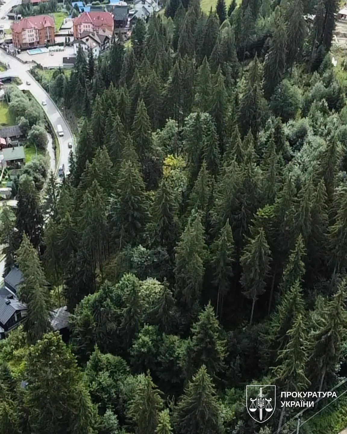 A court overturned the decision to rezone 20 plots of century-old forest near Bukovel for development