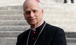 Тисячі бельгійських спортивних голубів загубилися у Франції через шторм