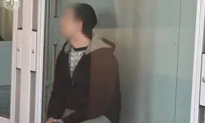 Обязательный техосмотр при въезде в ЕС оказался фейком