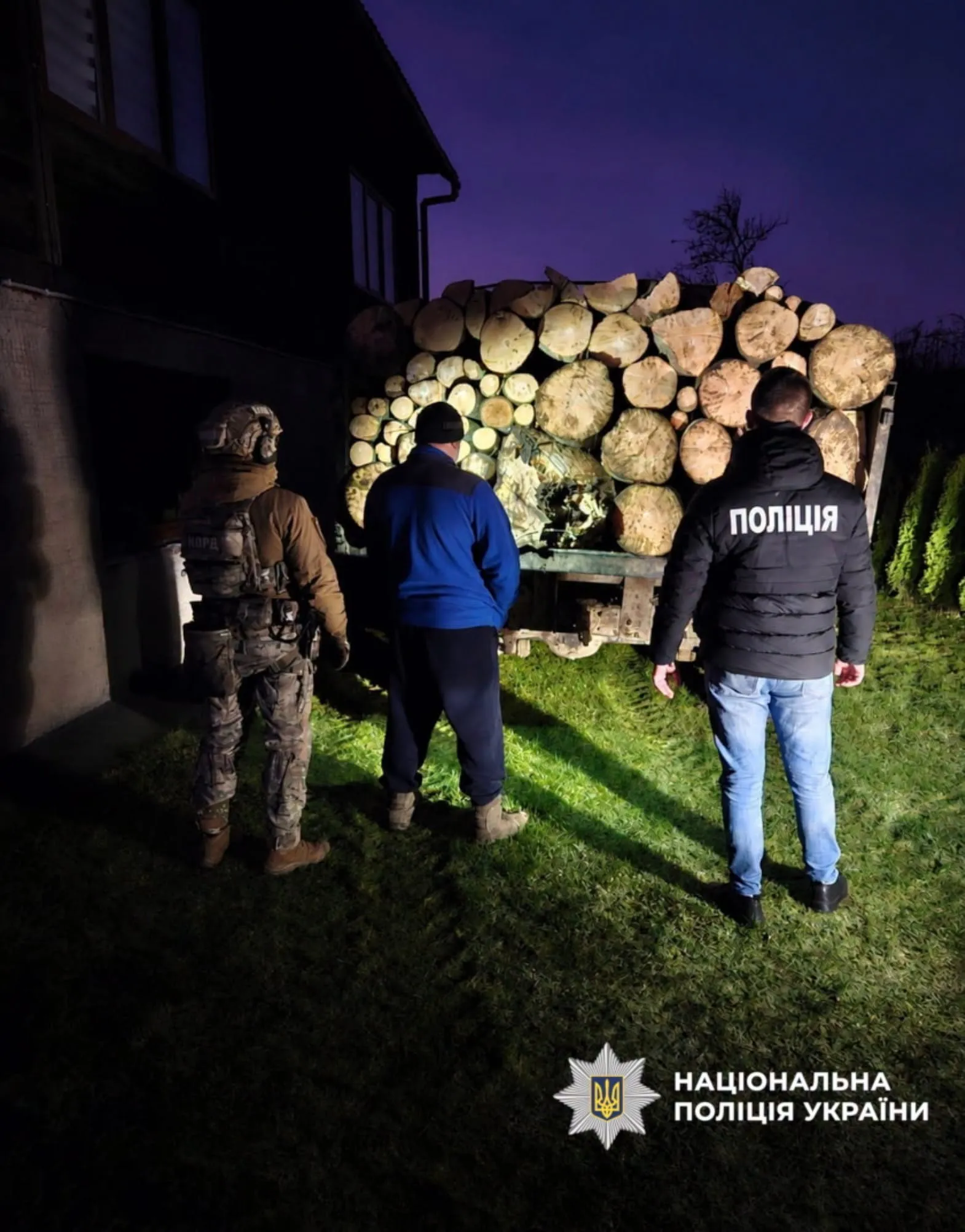 Видео: в Закарпатье будут судить членов организованной преступной группировки за вырубку заповедного леса