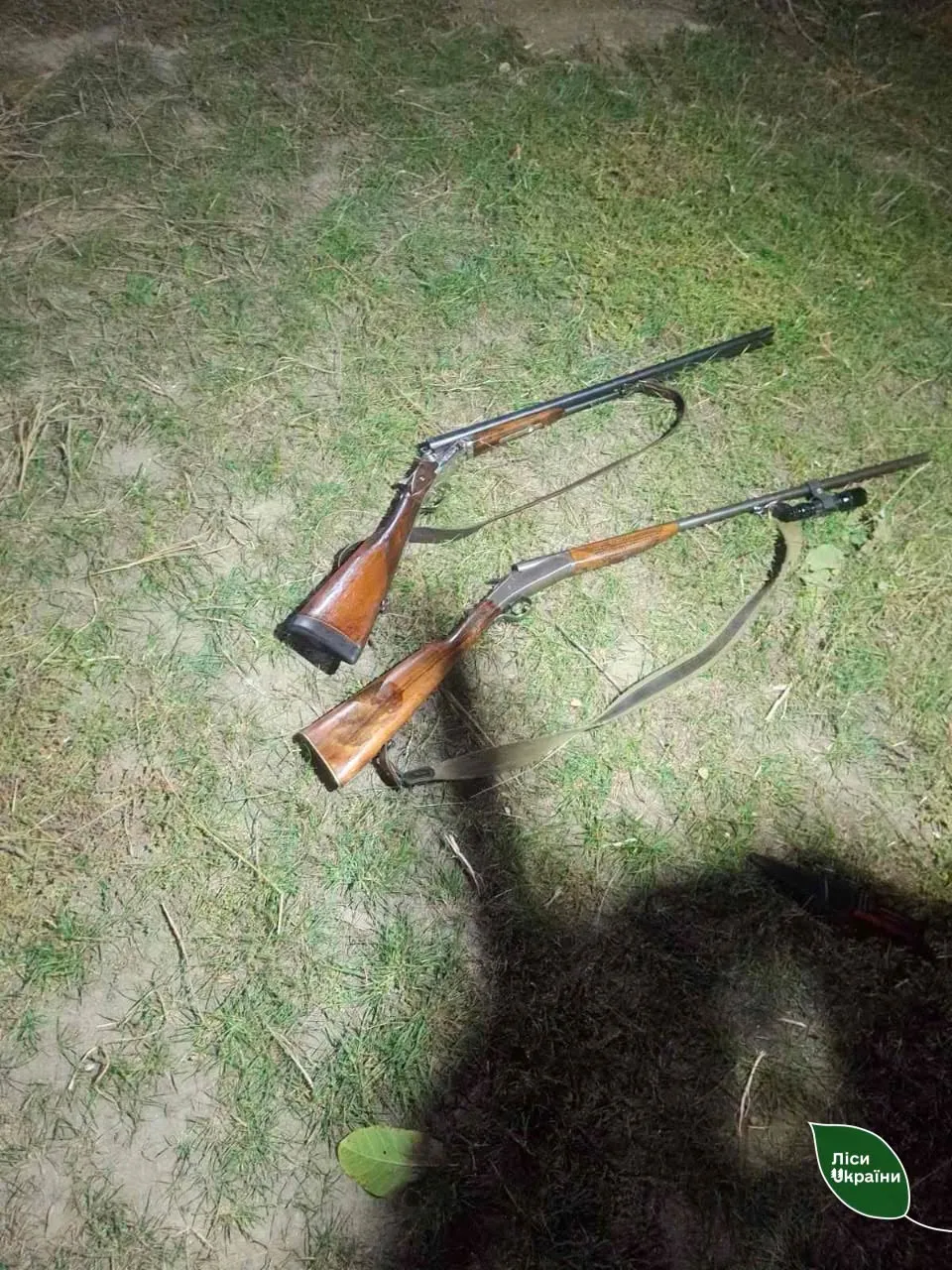 Video: In Volyn, gamekeepers caught poachers and rescued a roe deer